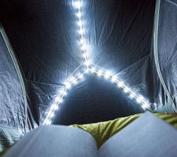 BYDLON_BigAgnesMTNglo_5597_750x400-450x400